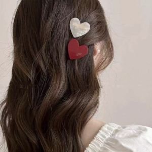 2pcs Clips